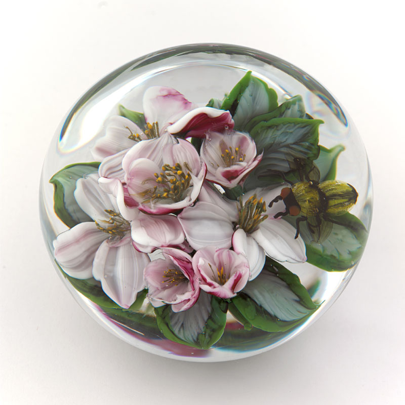 Farfalla Paperweight Ayotte Rick Apfelblueten mit Biene RA 1030
