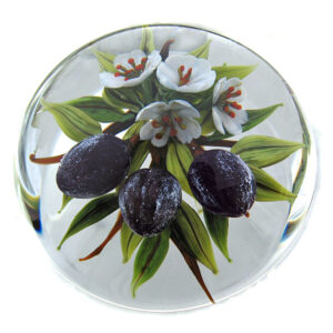 Farfalla Paperweight Ayotte Rick Damaszener Pflaumen RA 900