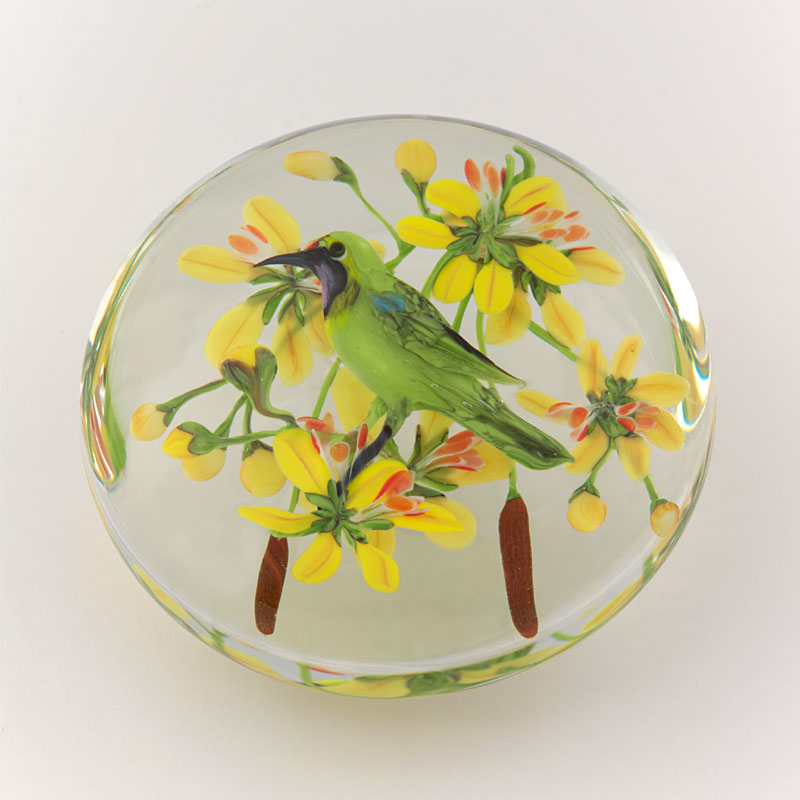 Farfalla Paperweight Ayotte Rick Golden Fronted Leaf Bird RA 591