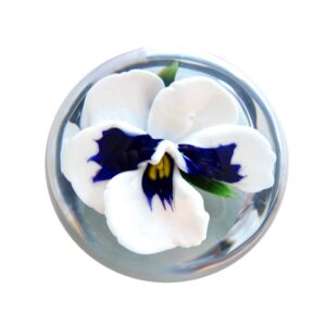 Farfalla Paperweight Ayotte Rick Pansy Weisses Stiefmuetterchen Miniatur RA 990M