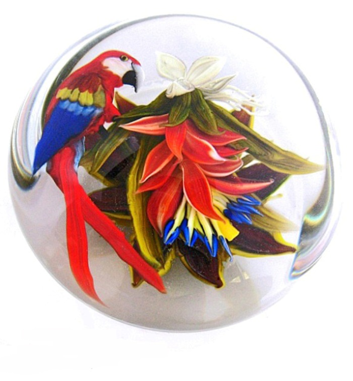 Farfalla Paperweight Ayotte Rick Papagei Scarlet Macaw RA 968 2