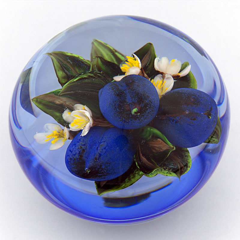 Farfalla Paperweight Ayotte Rick Prachtvolle Pflaumen RA 1031 2