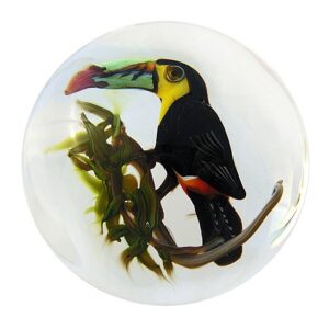 Farfalla Paperweight Ayotte Rick Regenbogentukan Keel Billed Toucan RA 700