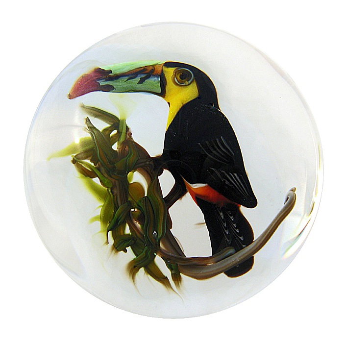 Farfalla Paperweight Ayotte Rick Regenbogentukan Keel Billed Toucan RA 700