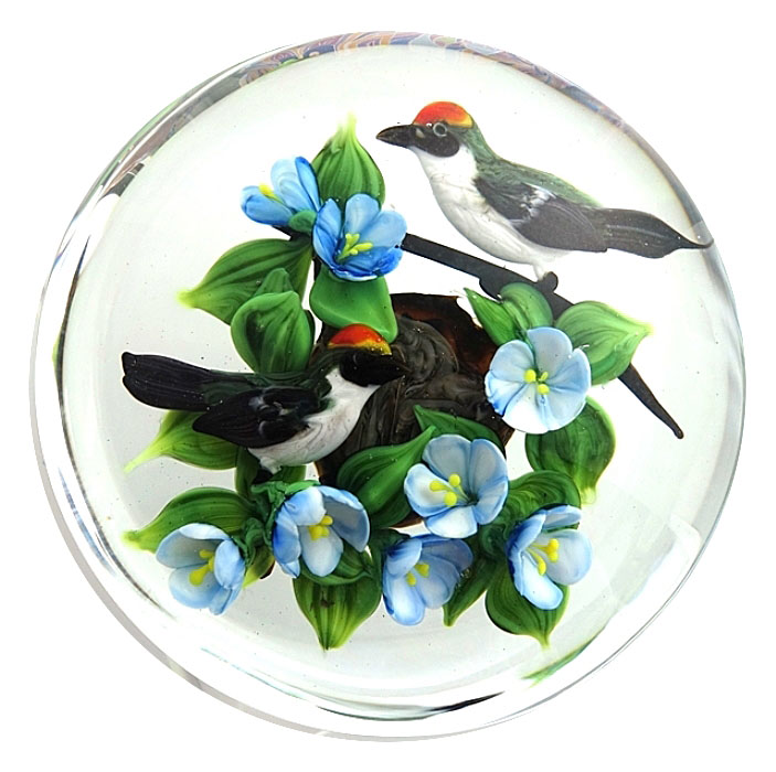 Farfalla Paperweight Ayotte Rick Rubingoldhaehnchen RA 825
