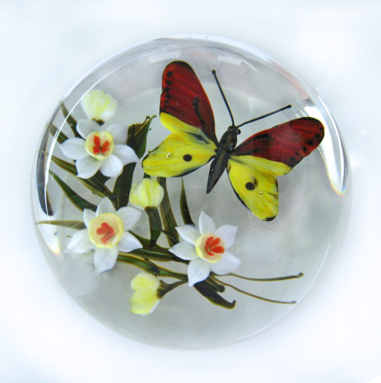 Farfalla Paperweight Ayotte Rick Schmetterling Hebomoia leucippe RA 605