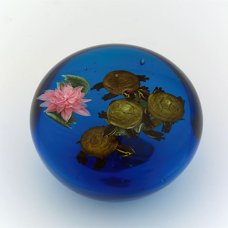 Farfalla Paperweight Ayotte Rick Sonnenanbeter RA 986