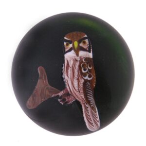 Farfalla Paperweight Ayotte Rick Sperbereule Hawk Owl RA 40 80
