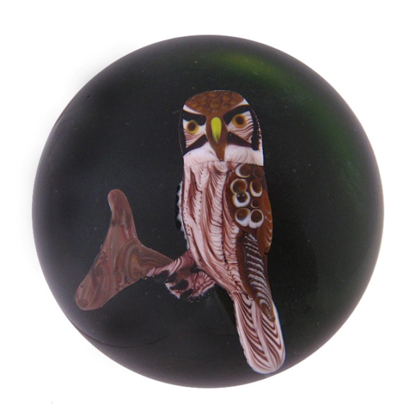 Farfalla Paperweight Ayotte Rick Sperbereule Hawk Owl RA 40 80