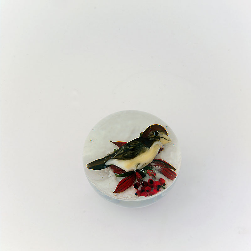 Farfalla Paperweight Ayotte Rick Sperling im Schnee RA 1018M