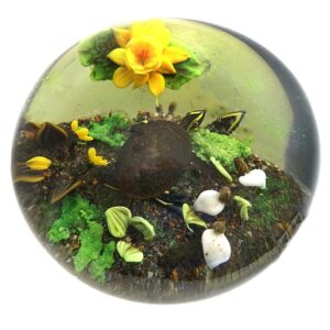 Farfalla Paperweight Ayotte Rick Walden Pond Serie Schildkroeten RA 940
