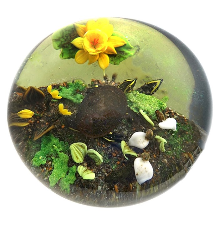 Farfalla Paperweight Ayotte Rick Walden Pond Serie Schildkroeten RA 940