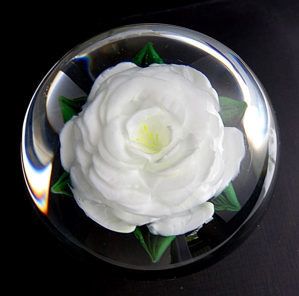 Farfalla Paperweight Ayotte Rick Weisse Rose RA 988