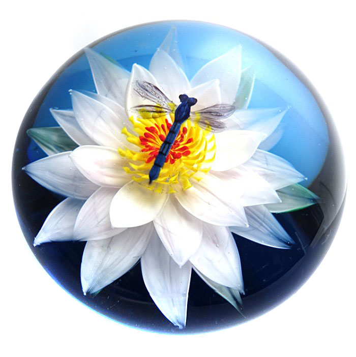Farfalla Paperweight Ayotte Rick Weisse Seerose und Libelle RA 1004 a