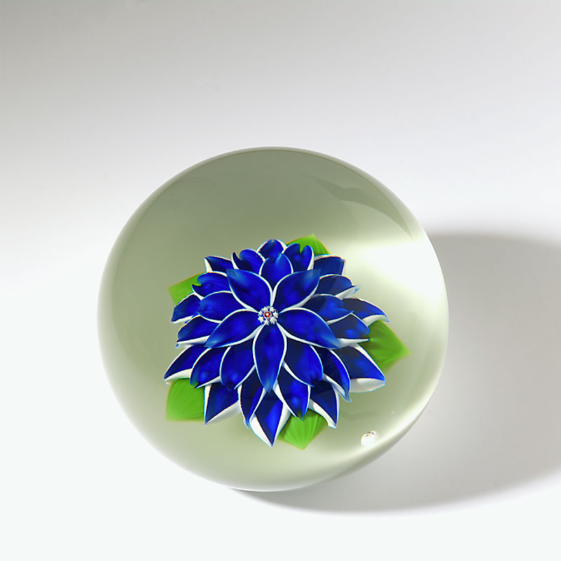 Farfalla Paperweight Baccarat Blaue Dahlie BC 679