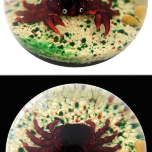 Farfalla Paperweight Baccarat Krabbe BC 813