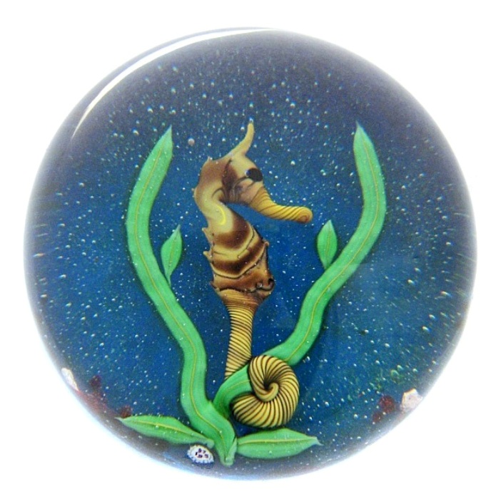 Farfalla Paperweight Baccarat Seepferdchen BC 075