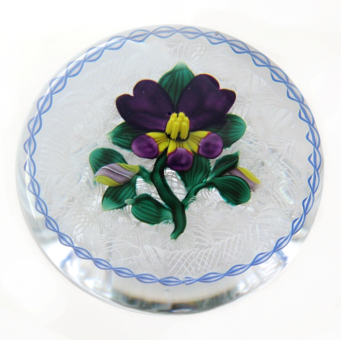 Farfalla Paperweight Banford Bob Stiefmuetterchen auf Lace BB 712
