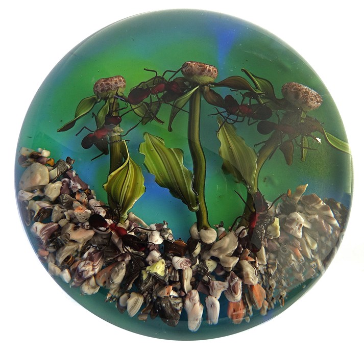 Farfalla Paperweight Bracht Stefan Ameisenbruecke SB 237