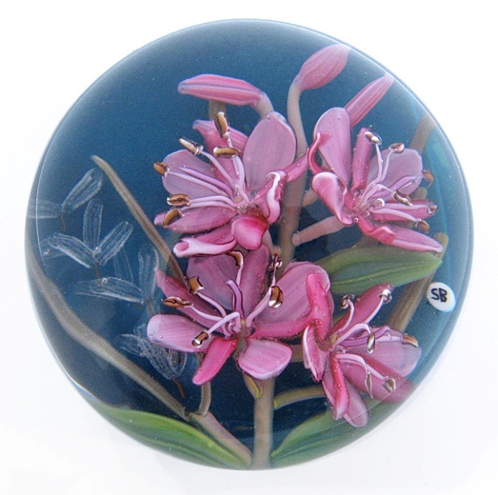 Farfalla Paperweight Bracht Stefan An die Blaschkas Weideroeschen SB 061