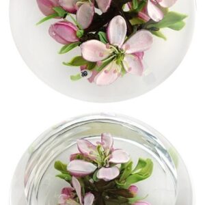 Farfalla Paperweight Bracht Stefan Angefuellt I SB 152