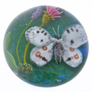 Farfalla Paperweight Bracht Stefan Apollofalter SB 064