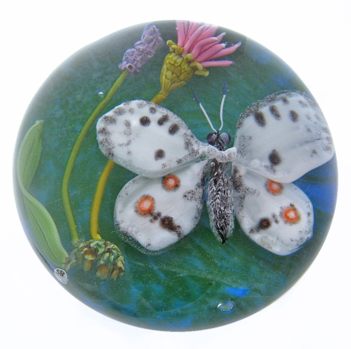 Farfalla Paperweight Bracht Stefan Apollofalter SB 064