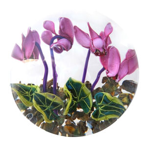 Farfalla Paperweight Bracht Stefan Bluetenwalzer III SB 146