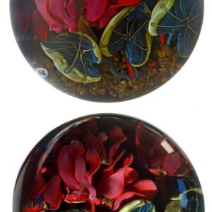 Farfalla Paperweight Bracht Stefan Dunkle Flut SB 118
