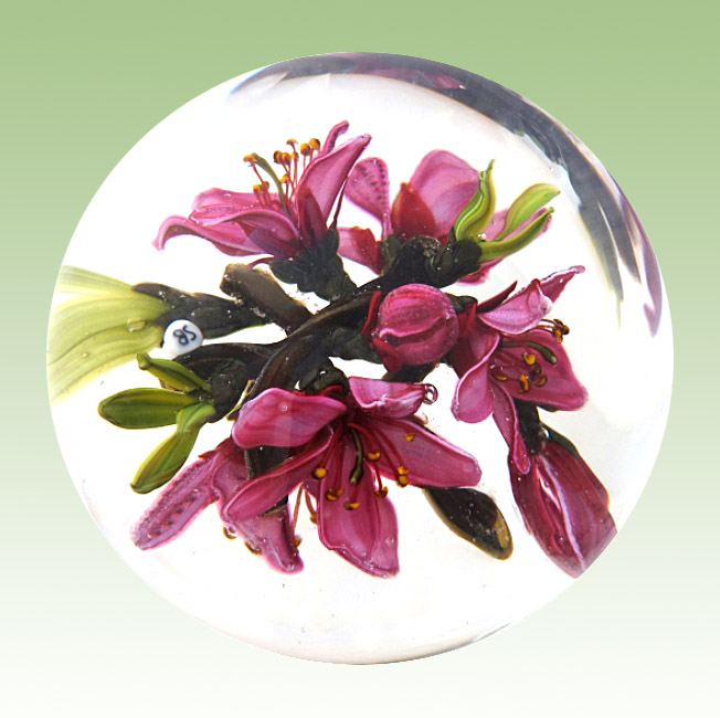 Farfalla Paperweight Bracht Stefan Freude schoener Luefte SB 151