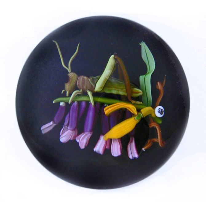 Farfalla Paperweight Bracht Stefan Fuehler in der Nacht SB 051