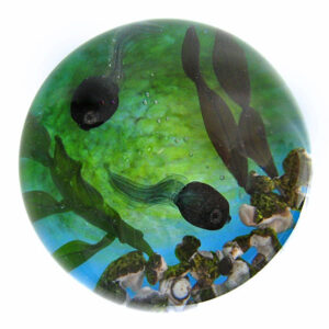 Farfalla Paperweight Bracht Stefan Geheimnis im Teichgrund SB 048