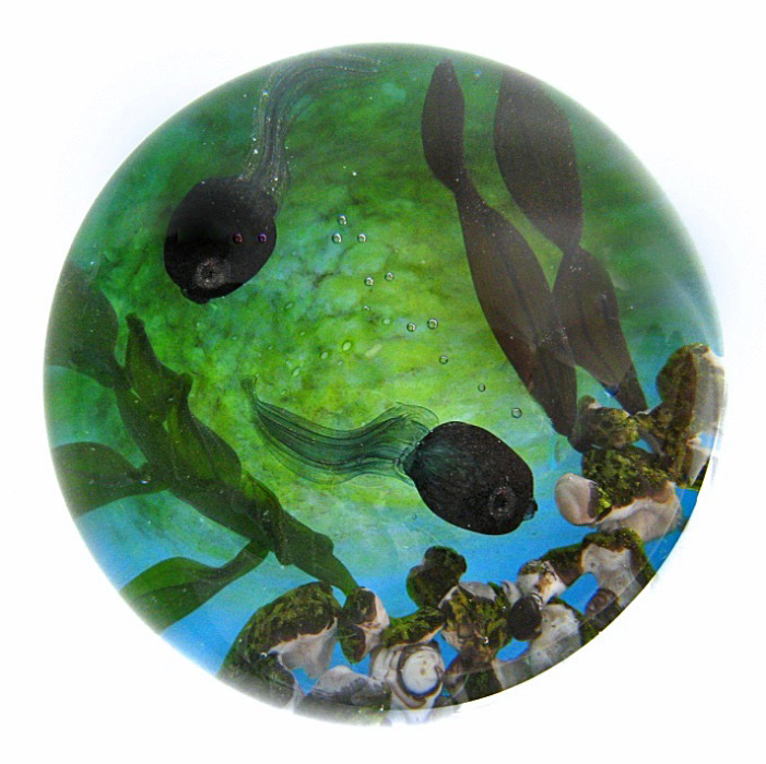 Farfalla Paperweight Bracht Stefan Geheimnis im Teichgrund SB 048
