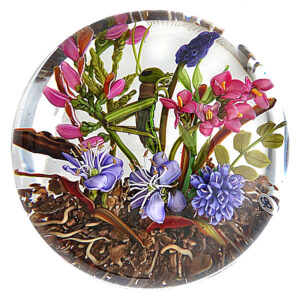 Farfalla Paperweight Bracht Stefan Grashuepfer In einer eigenen Welt VI SB 180