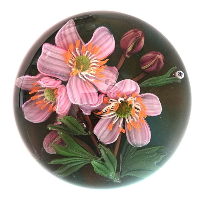 Farfalla Paperweight Bracht Stefan Hundertfaden II SB 200x