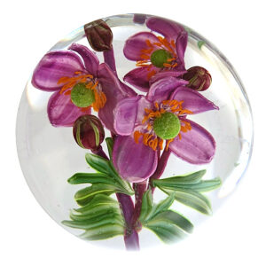 Farfalla Paperweight Bracht Stefan Hundertfaden I SB 199