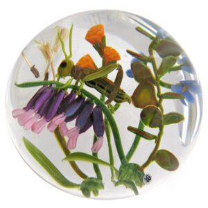 Farfalla Paperweight Bracht Stefan Im Kleinsten SB 063a