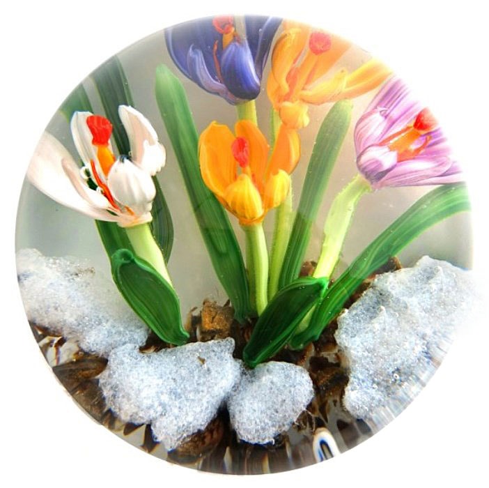 Farfalla Paperweight Bracht Stefan Krokuesse I SB 166