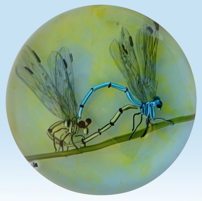 Farfalla Paperweight Bracht Stefan Lebenszyklus I SB 116