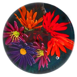 Farfalla Paperweight Bracht Stefan Leuchtreigen SB 087