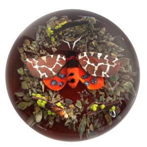 Farfalla Paperweight Bracht Stefan Mimikri SB 224