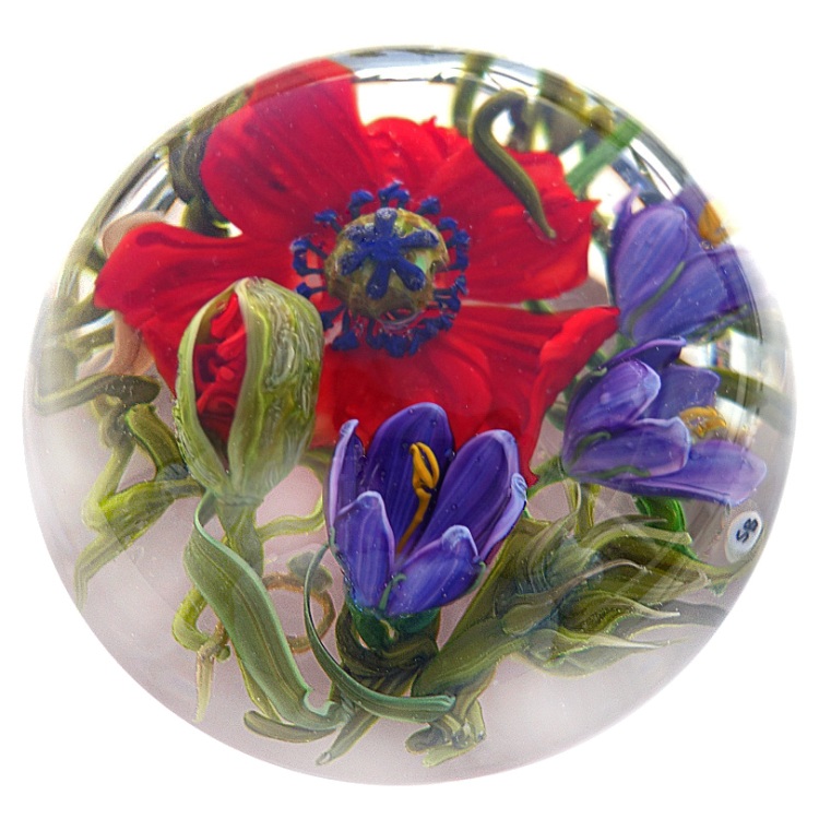 Farfalla Paperweight Bracht Stefan Mohnschein SB 107