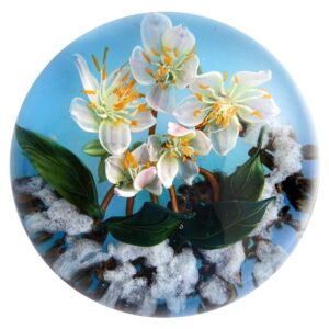 Farfalla Paperweight Bracht Stefan Noch Namenlos II SB 194