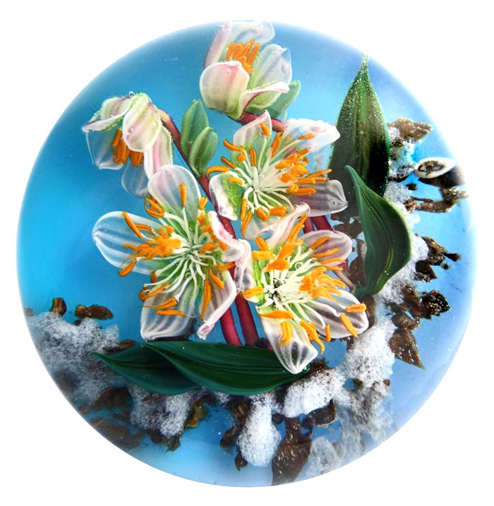 Farfalla Paperweight Bracht Stefan Noch Namenlos SB 193