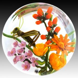 Farfalla Paperweight Bracht Stefan Orangeade SB 119
