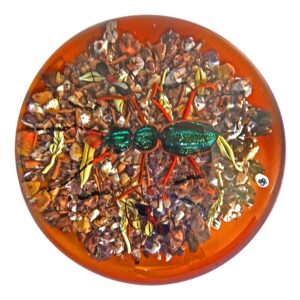 Farfalla Paperweight Bracht Stefan Prachtvoll Goldlaufkaefer und Ameisen SB 238