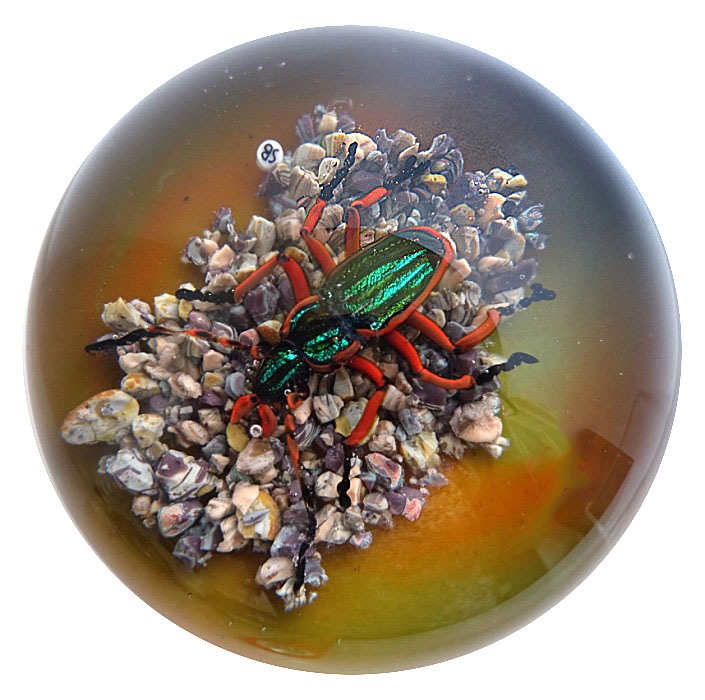 Farfalla Paperweight Bracht Stefan Prachtvoll SB 230 x