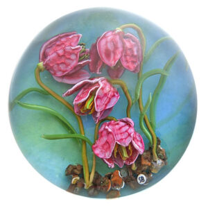 Farfalla Paperweight Bracht Stefan Schachbrettblume SB 150