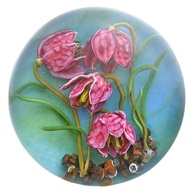 Farfalla Paperweight Bracht Stefan Schachbrettblume SB 150