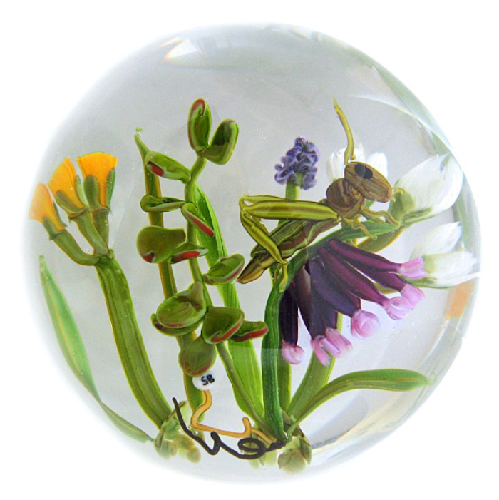 Farfalla Paperweight Bracht Stefan Spring noch nicht fort SB 040
